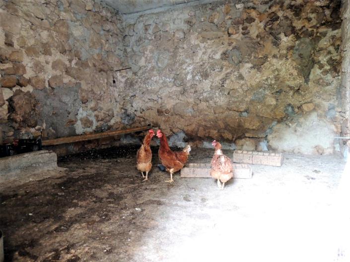 Image No.12-Chalet de 2 chambres à vendre à Caramanico Terme