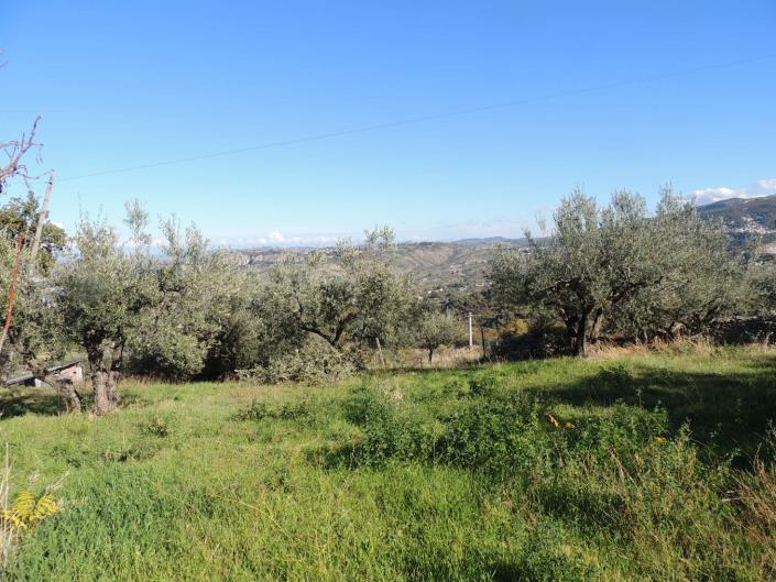 Image No.6-Terre à vendre à San Valentino in A.C.