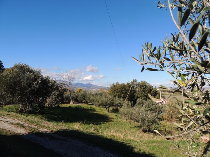 Image No.7-Terre à vendre à San Valentino in A.C.