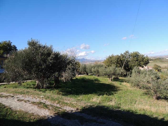 Image No.8-Terre à vendre à San Valentino in A.C.