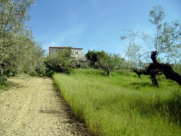 Image No.5-Plot for sale