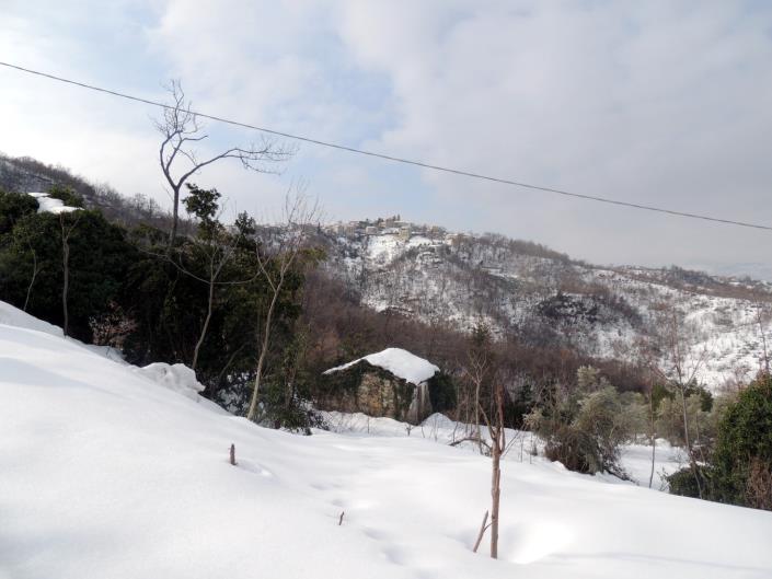 Image No.6-Terre à vendre à Abbateggio