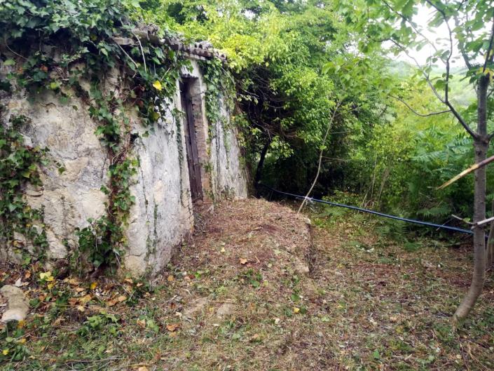 Image No.7-Terre à vendre à Abbateggio