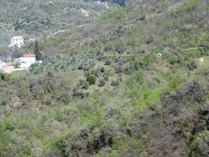 Image No.5-Terre à vendre à Abbateggio