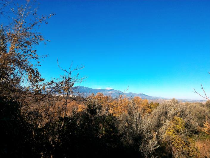 Image No.3-Terre à vendre à Abbateggio