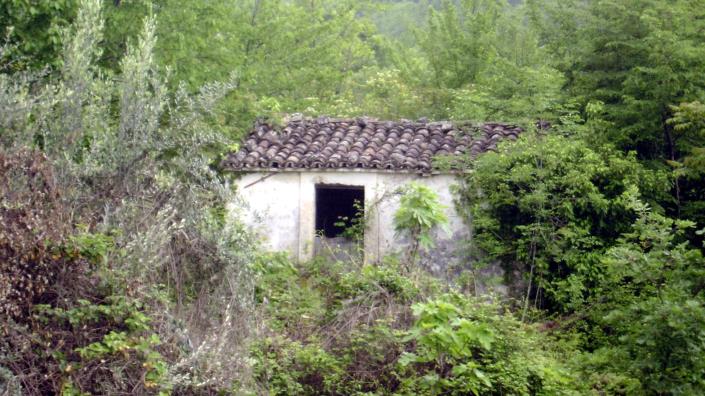 Image No.4-Terre à vendre à Abbateggio