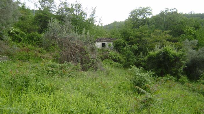 Image No.9-Terre à vendre à Abbateggio