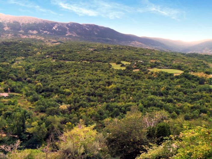Image No.5-Maison de campagne à vendre à Caramanico Terme