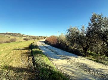 WhatsApp-Image-2022-01-25-at-17-54-57