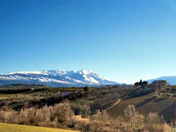 WhatsApp-Image-2022-01-25-at-17-54-59