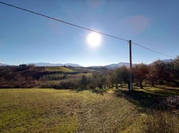 WhatsApp-Image-2022-01-25-at-17-55-03