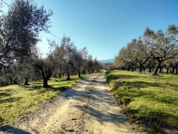 WhatsApp-Image-2022-01-25-at-17-54-55