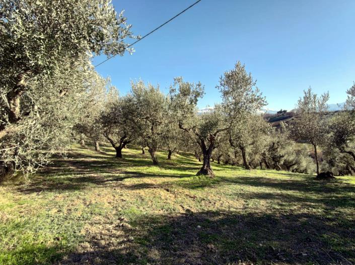 Image No.3-Land for sale