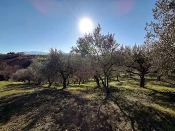 WhatsApp-Image-2022-01-25-at-17-55-21--3-