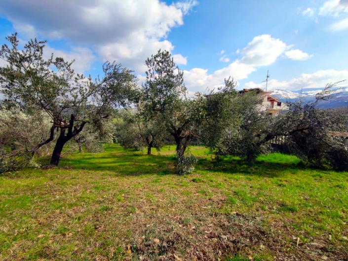 Image No.2-Land for sale