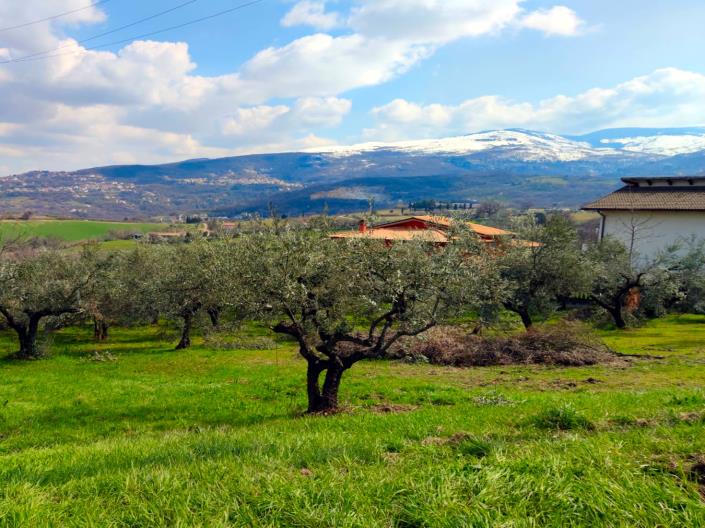 Image No.3-Land for sale