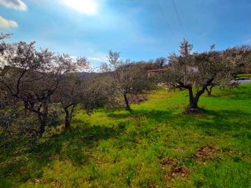 WhatsApp-Image-2022-03-11-at-12-15-35--1-