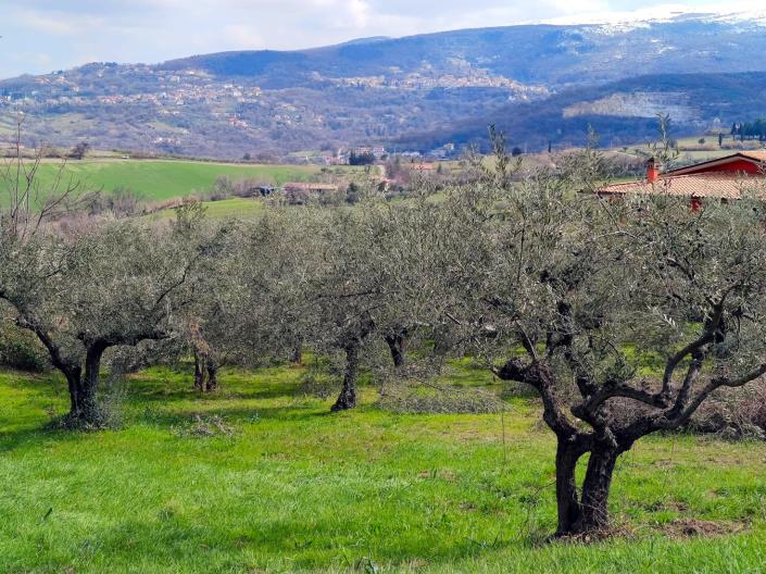 Image No.5-Land for sale