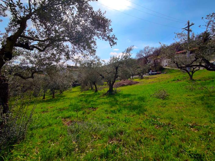 Image No.7-Land for sale