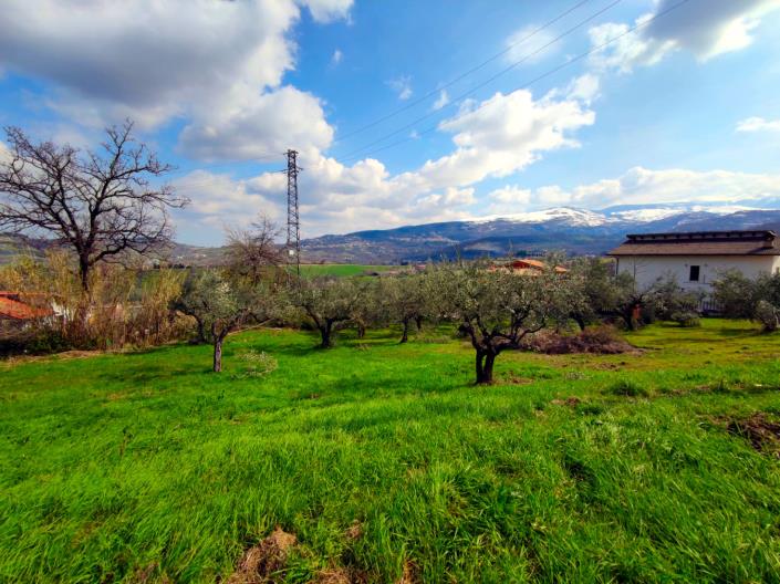 Image No.9-Land for sale