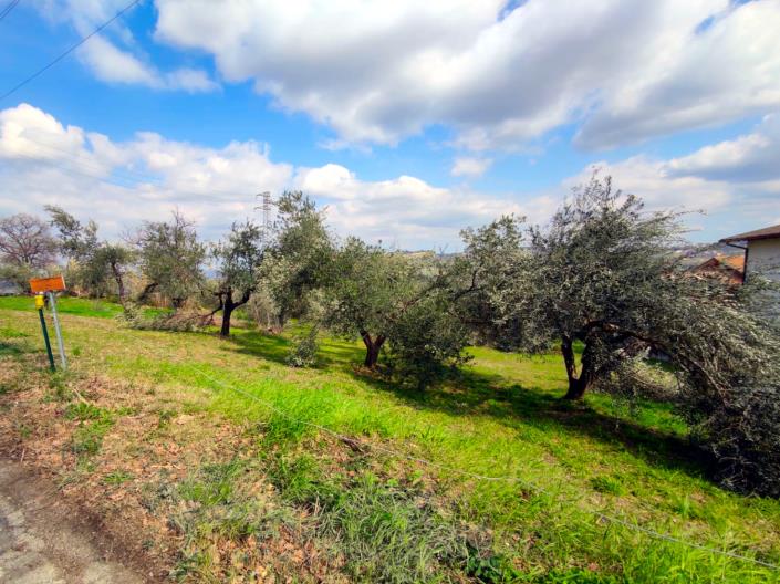 Image No.10-Land for sale