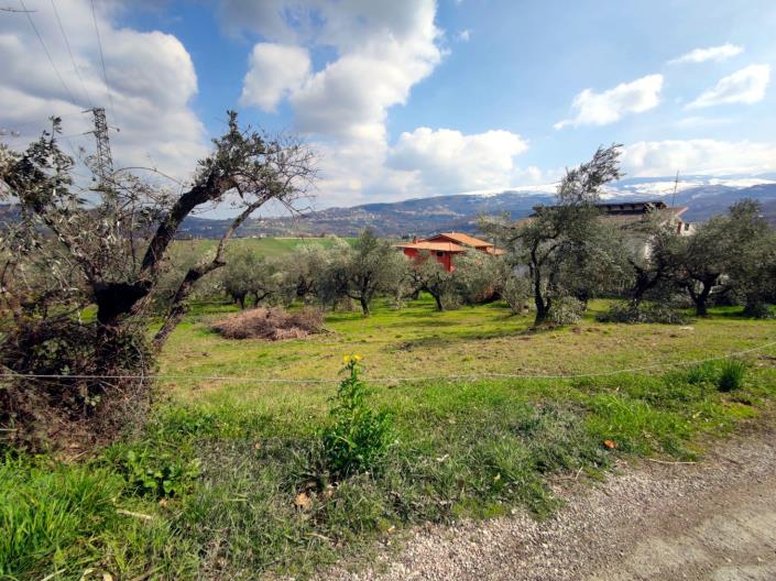 Image No.13-Land for sale