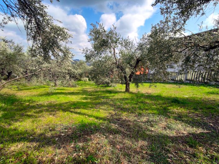 Image No.15-Land for sale