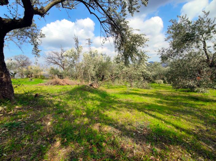 Image No.16-Land for sale