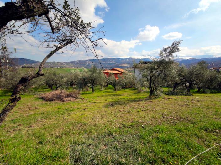 Image No.20-Land for sale