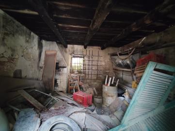 WhatsApp-Image-2022-03-16-at-12-06-41--2-