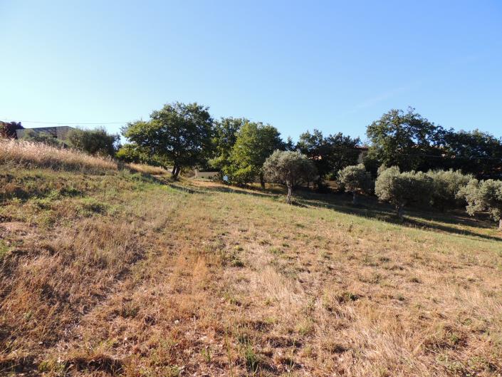 Image No.2-Terre à vendre à Torrevecchia Teatina
