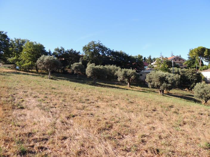 Image No.3-Terre à vendre à Torrevecchia Teatina