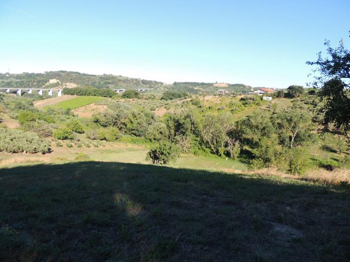 Image No.10-Terre à vendre à Torrevecchia Teatina