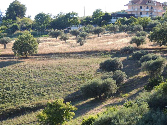 Image No.17-Terre à vendre à Torrevecchia Teatina