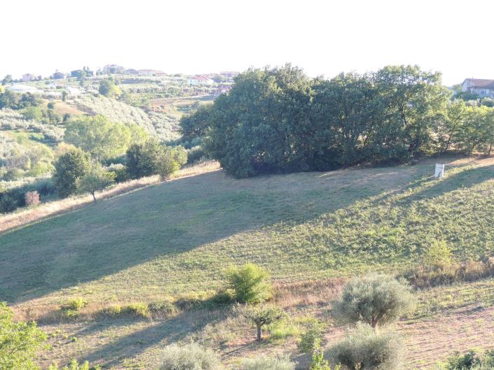 Image No.18-Terre à vendre à Torrevecchia Teatina