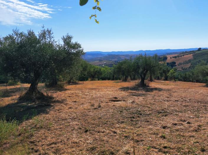 Image No.17-2 Bed House for sale