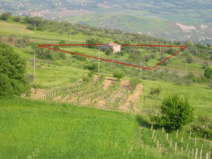 Image No.19-4 Bed Country House for sale