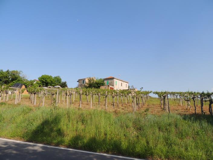 Image No.24-Maison de campagne de 1 chambre à vendre à Rosciano