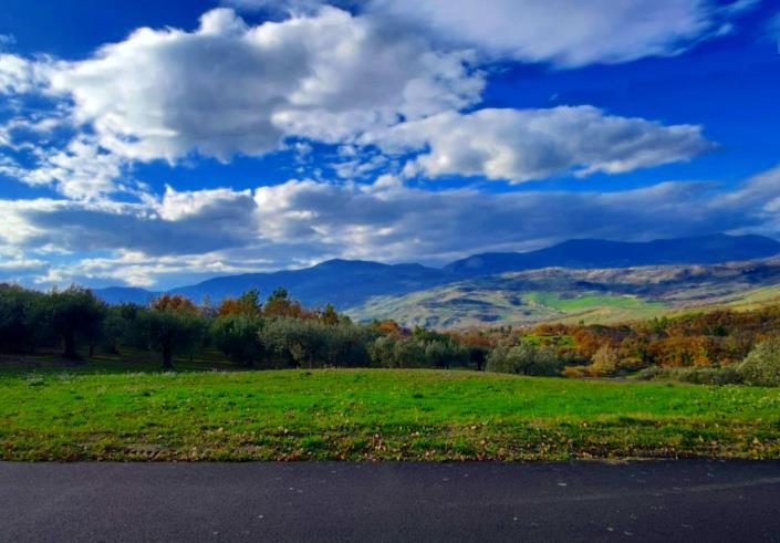 Image No.3-Terre à vendre à San Valentino in A.C.