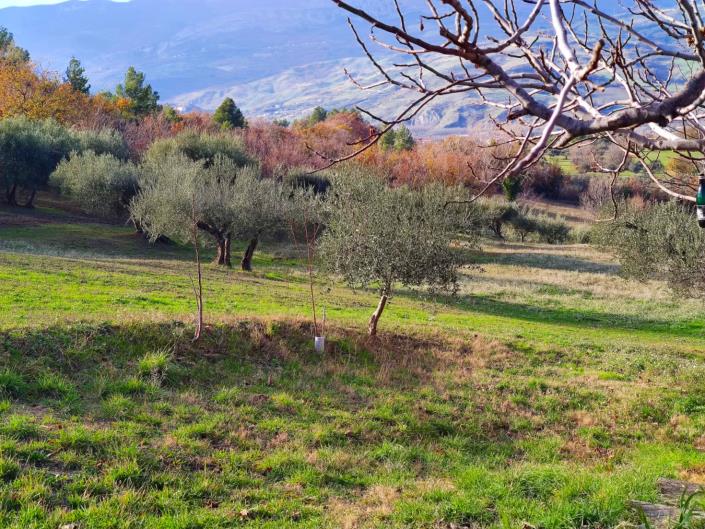Image No.5-Terre à vendre à San Valentino in A.C.