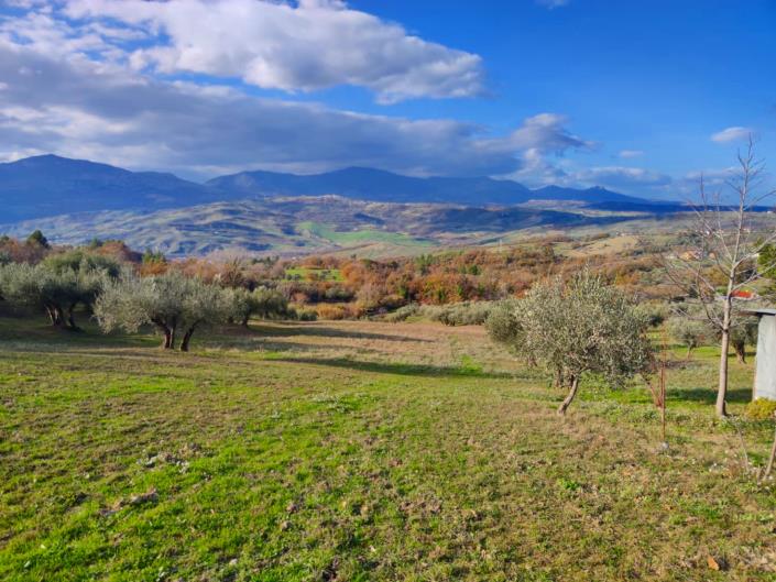 Image No.8-Terre à vendre à San Valentino in A.C.