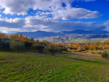 WhatsApp-Image-2022-12-30-at-18-04-50--1-