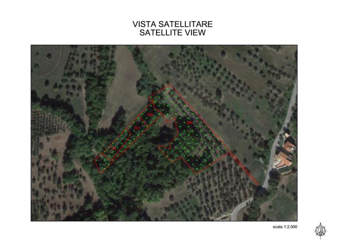 Image No.2-floorplan-2