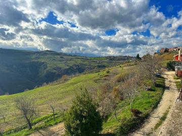 WhatsApp-Image-2023-01-20-at-07-21-24