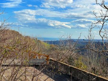 WhatsApp-Image-2023-01-20-at-07-21-26