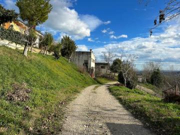 WhatsApp-Image-2023-01-20-at-07-26-17--1-