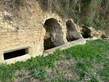 WhatsApp-Image-2023-01-20-at-07-27-50