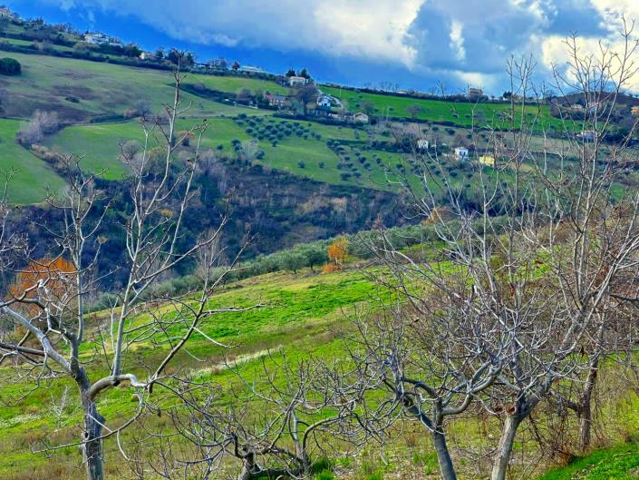 Image No.41-3 Bed Property for sale