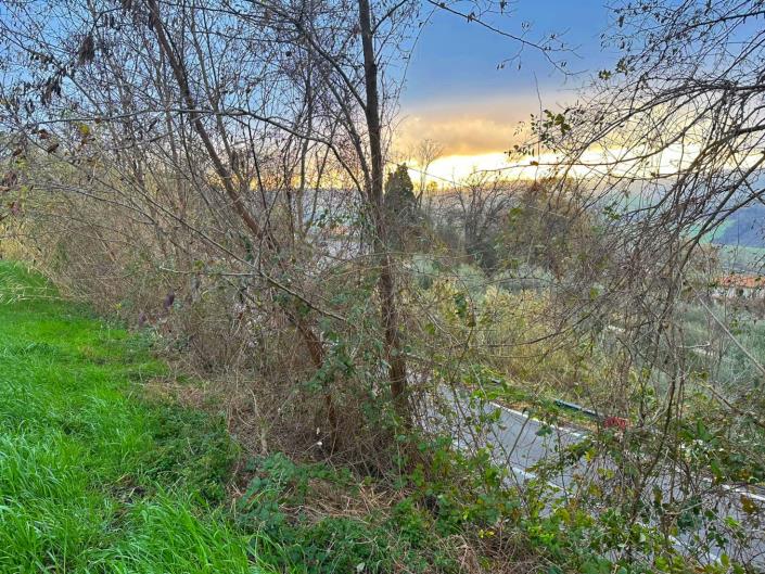 Image No.8-Land for sale