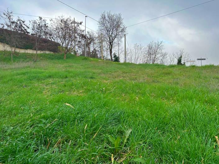 Image No.9-Land for sale